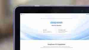 DeepSeek